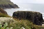 birds nesting on the rocks at Land's End